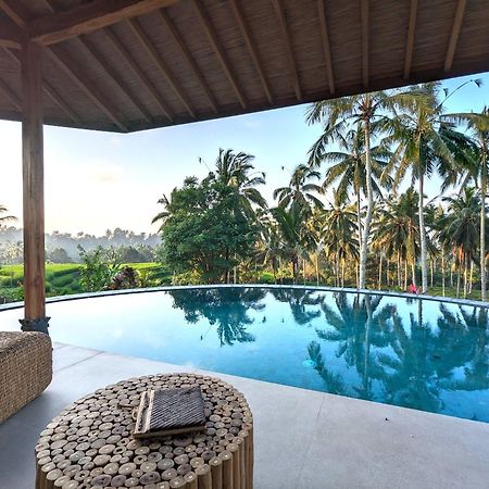 Selemadeg  Puri Dajuma Terrace Eco Lodge & Spa מראה חיצוני תמונה