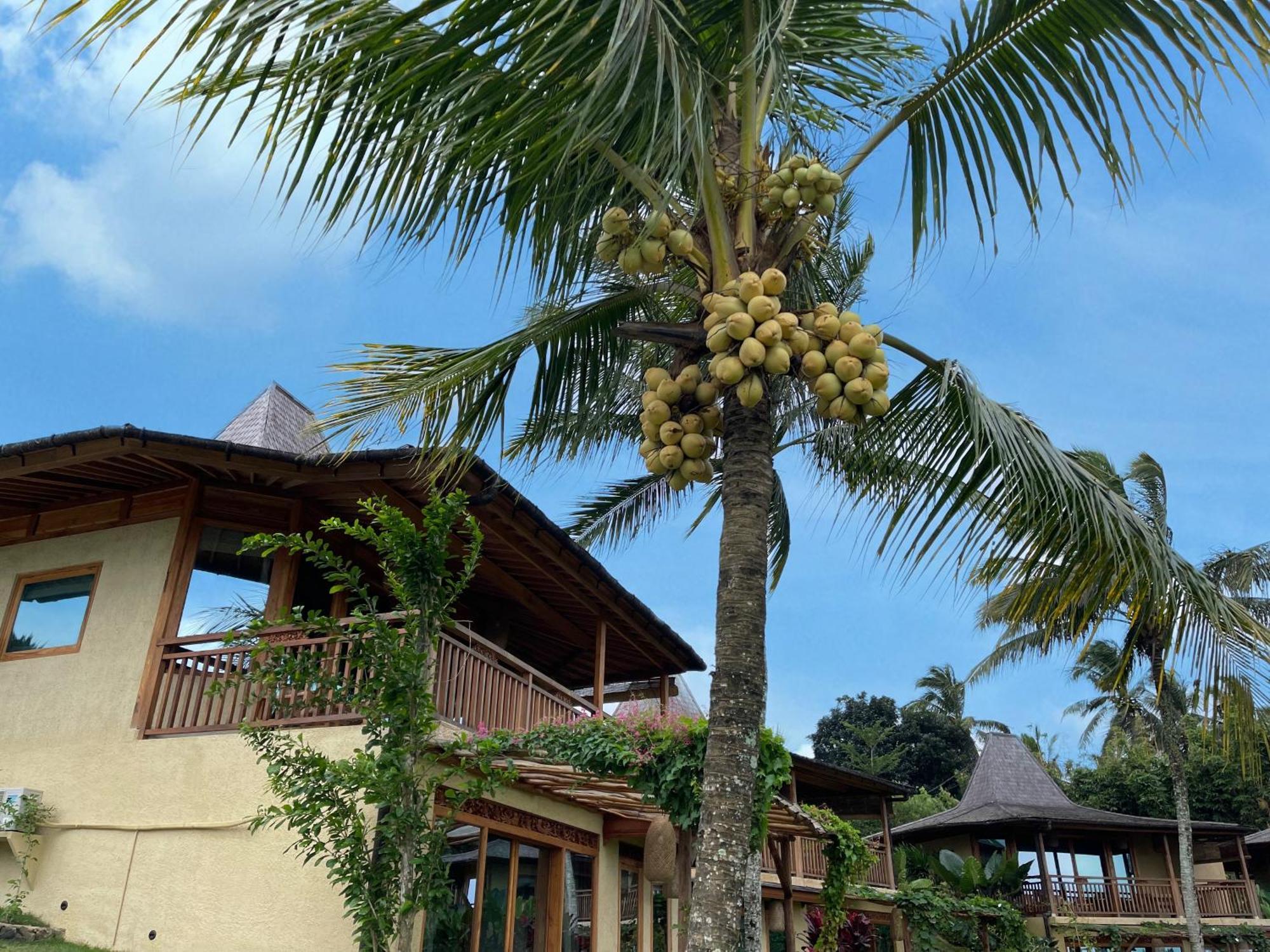 Selemadeg  Puri Dajuma Terrace Eco Lodge & Spa מראה חיצוני תמונה