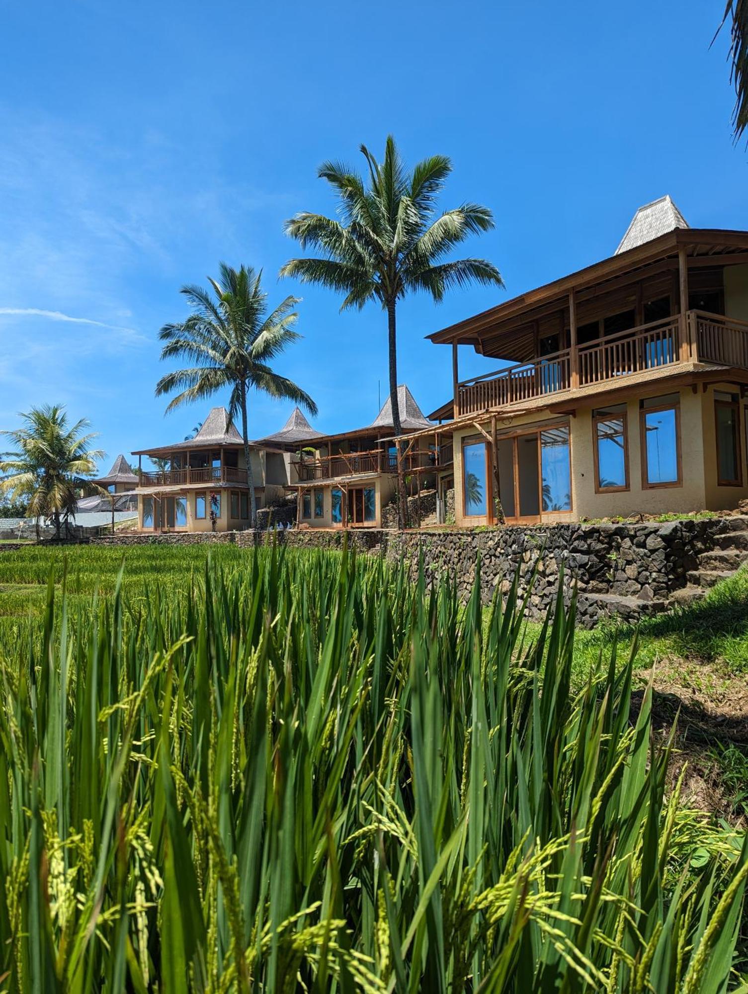 Selemadeg  Puri Dajuma Terrace Eco Lodge & Spa מראה חיצוני תמונה