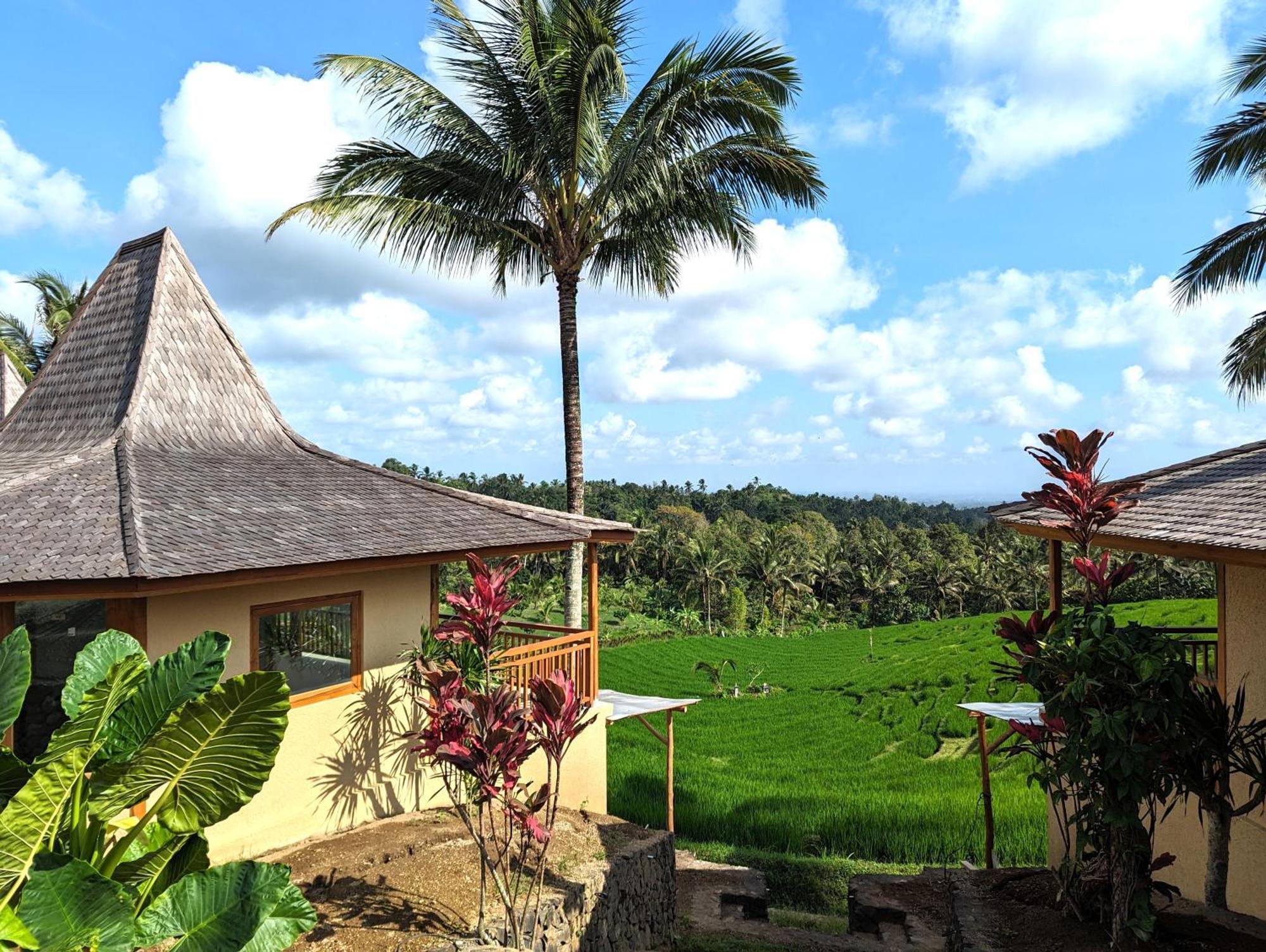 Selemadeg  Puri Dajuma Terrace Eco Lodge & Spa מראה חיצוני תמונה