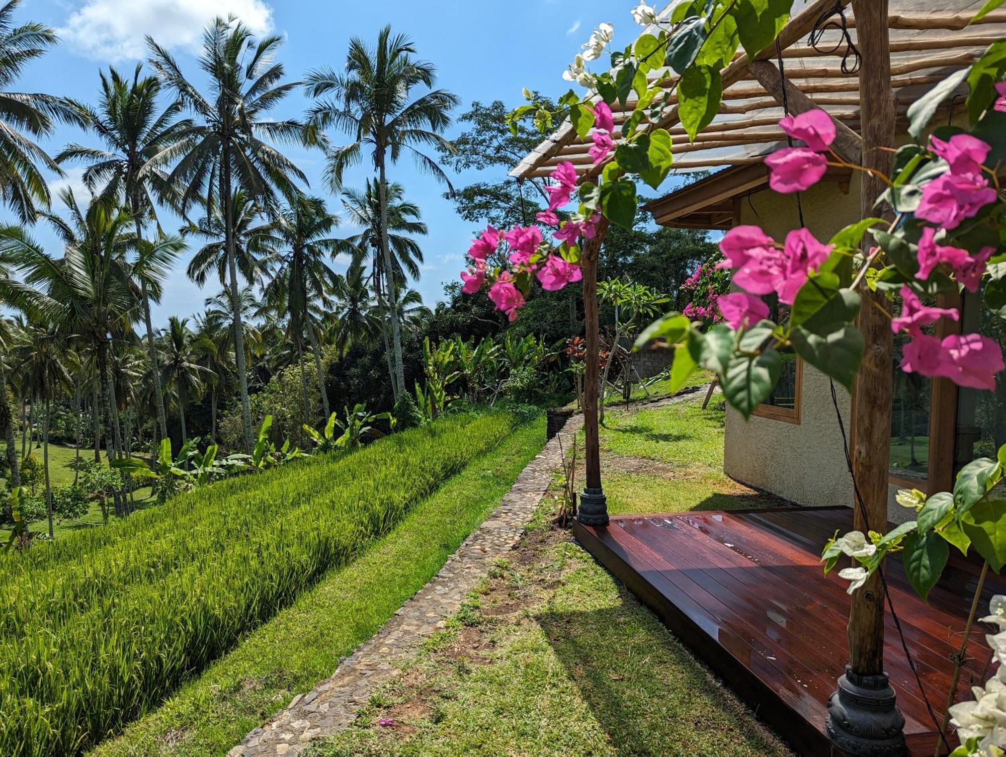 Selemadeg  Puri Dajuma Terrace Eco Lodge & Spa מראה חיצוני תמונה